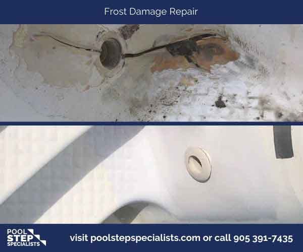 Frost Damage Repair (4)